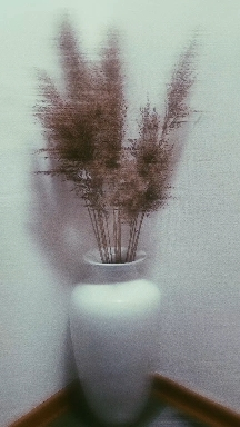 vase