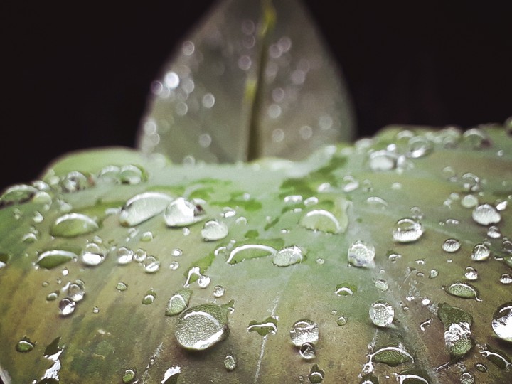 drops