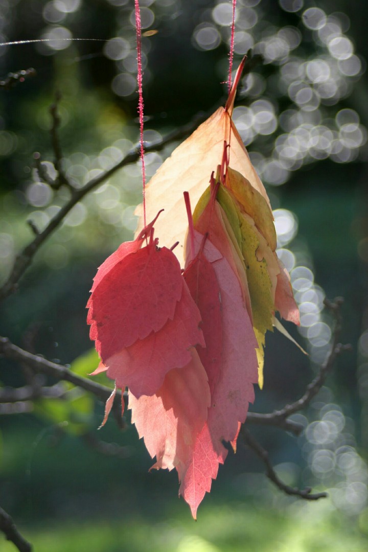 Autumn  necklace.