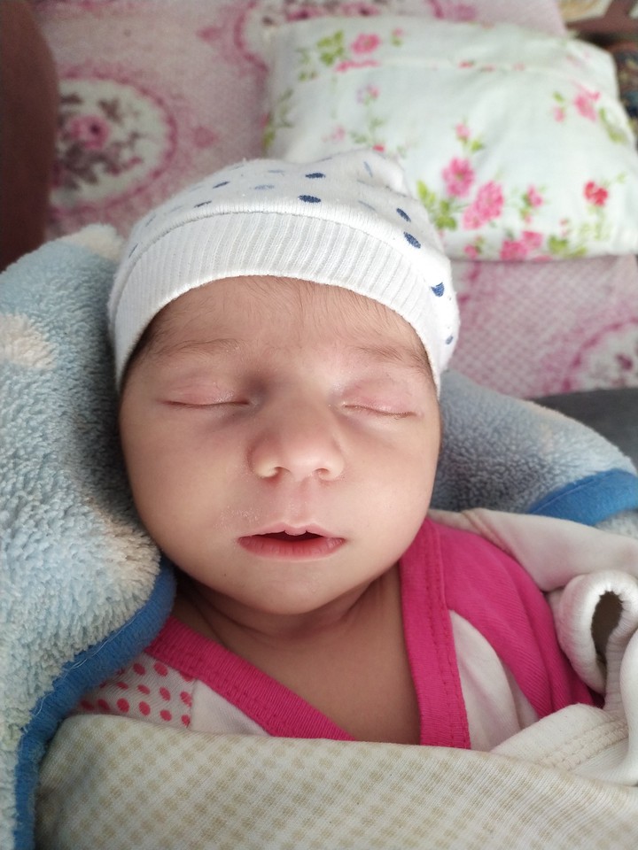 bebek