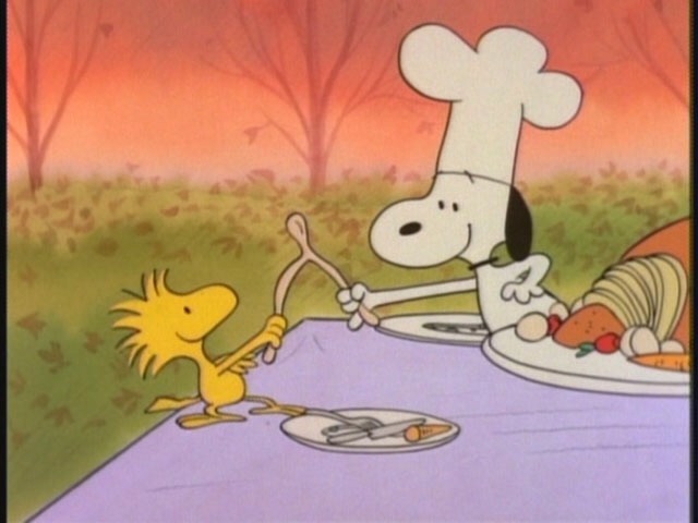 The turkey wishbone