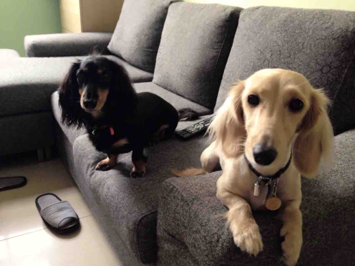 Mei & Showty