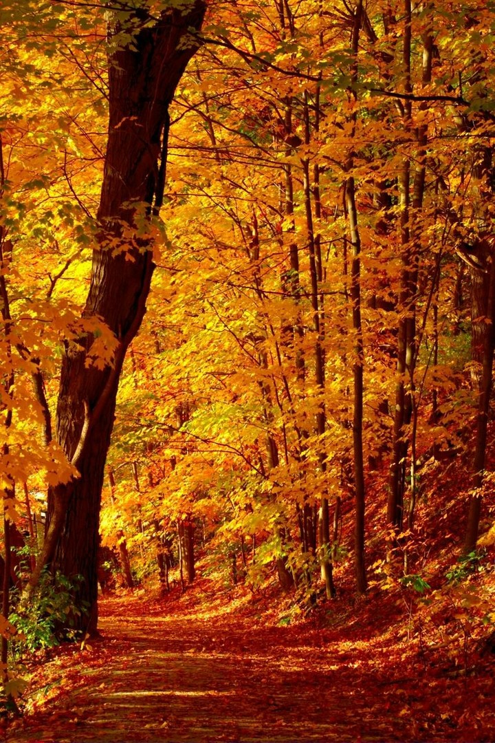 nature