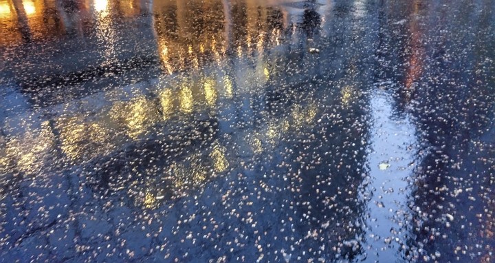 After the Rain
