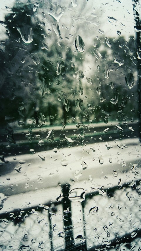 window