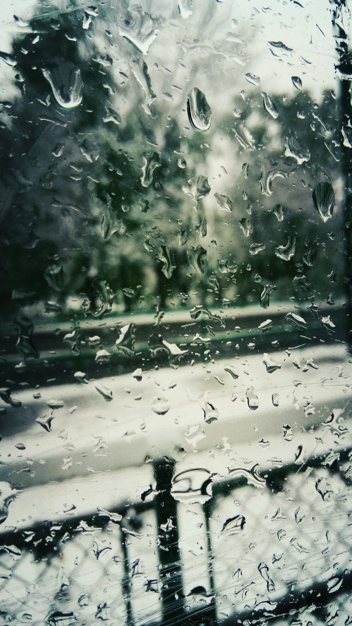 window