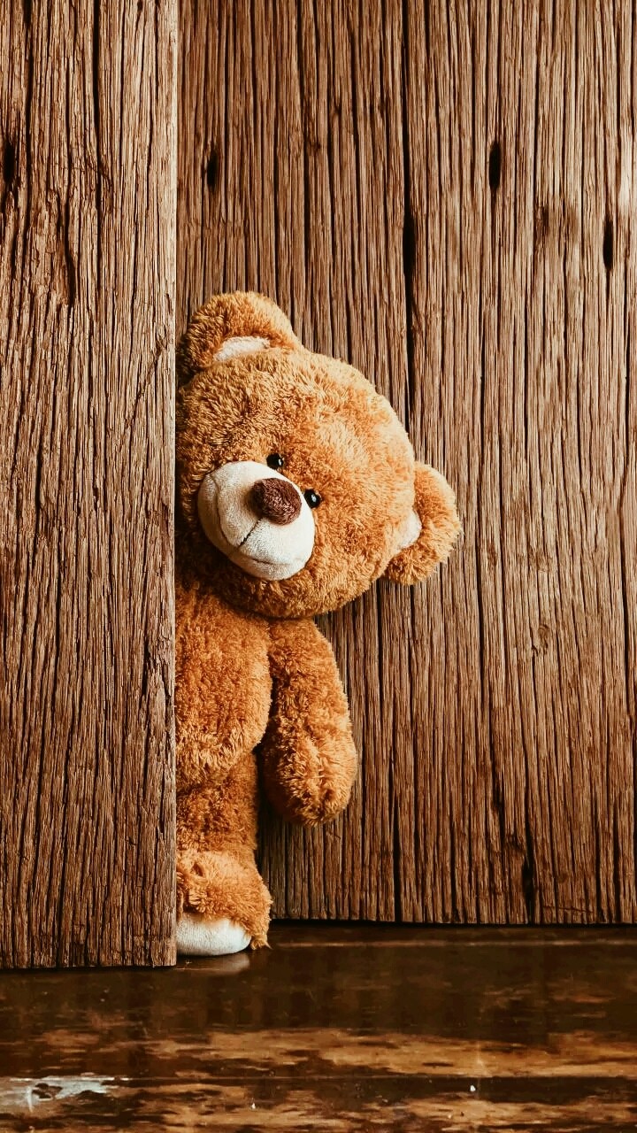 Teddy Bear