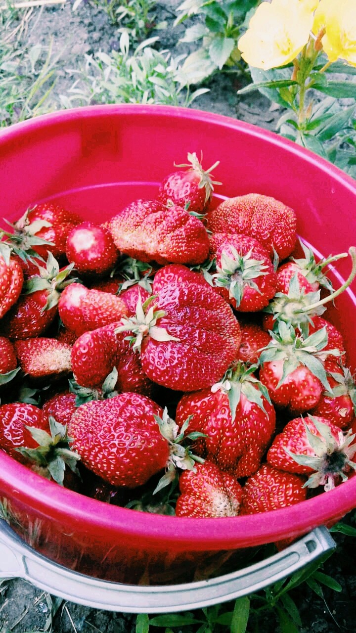 summertime