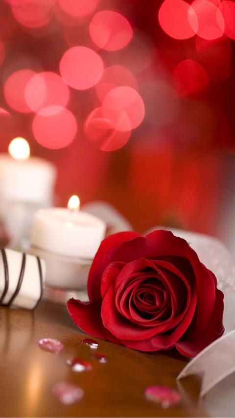 rose