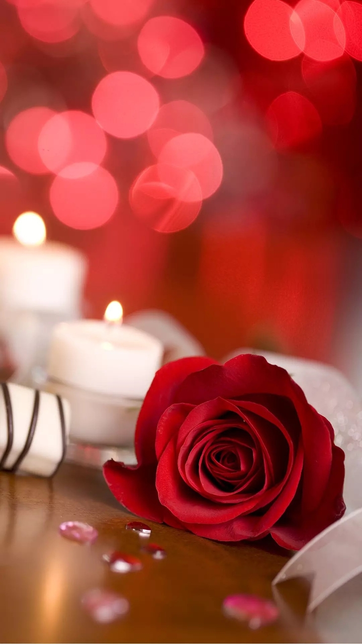 rose