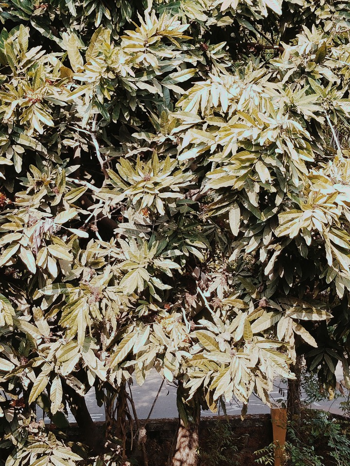 ?