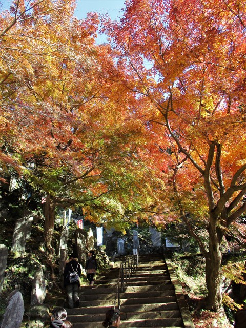 autumn,2017