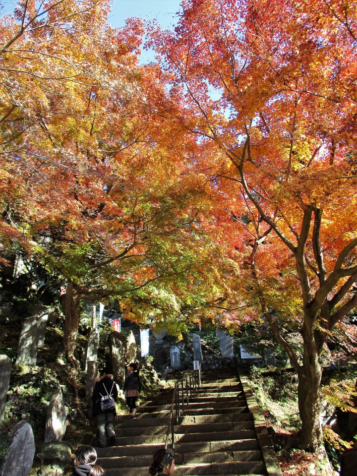 autumn,2017