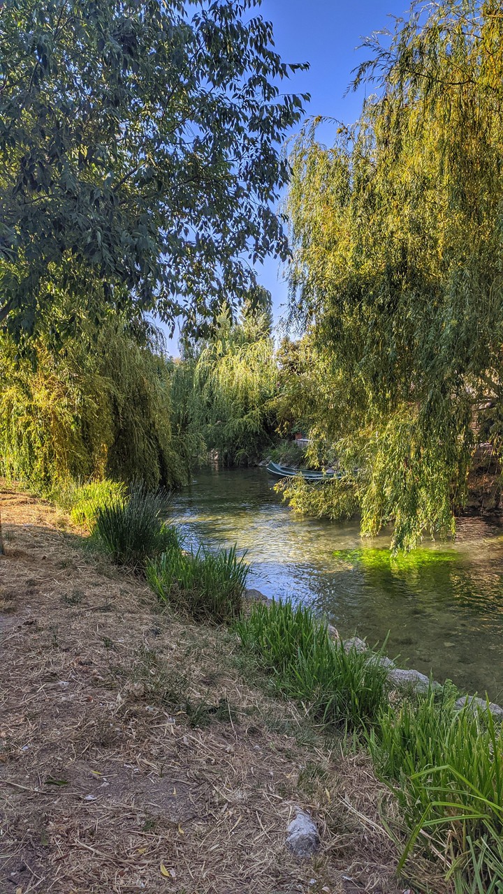Nature