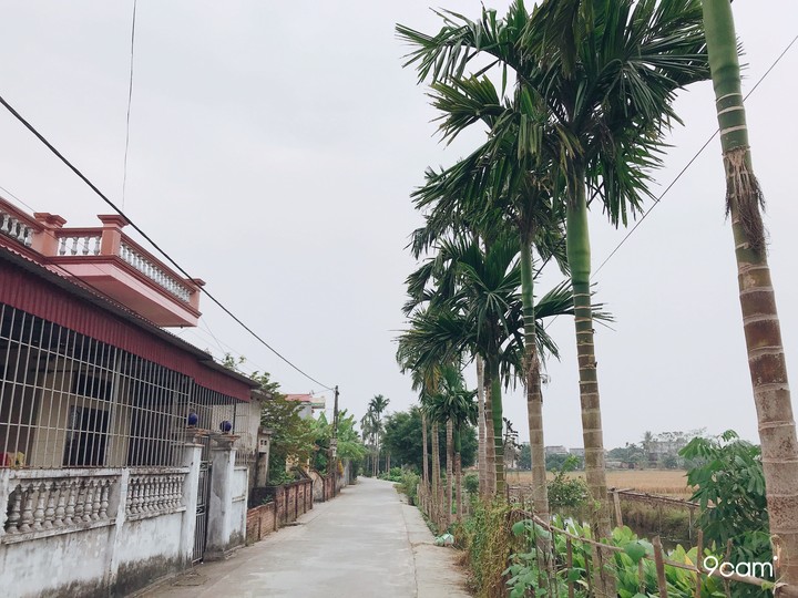 In Vietnam