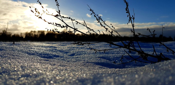 Beauty snow