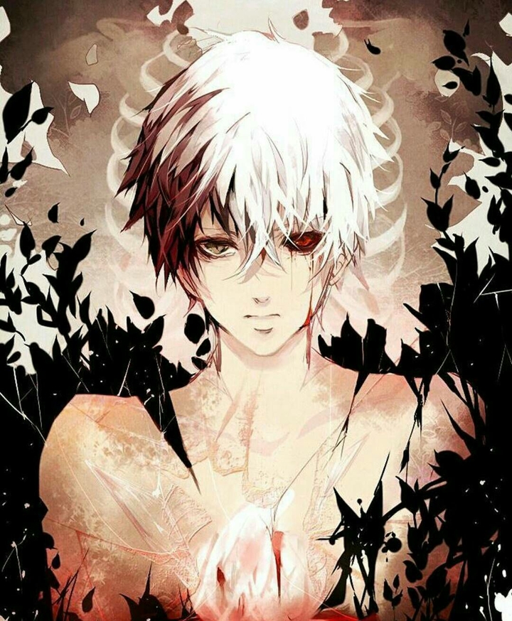 Tokyo Ghoul Anime