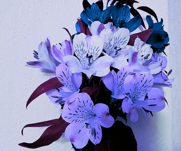 bouquet of flowers