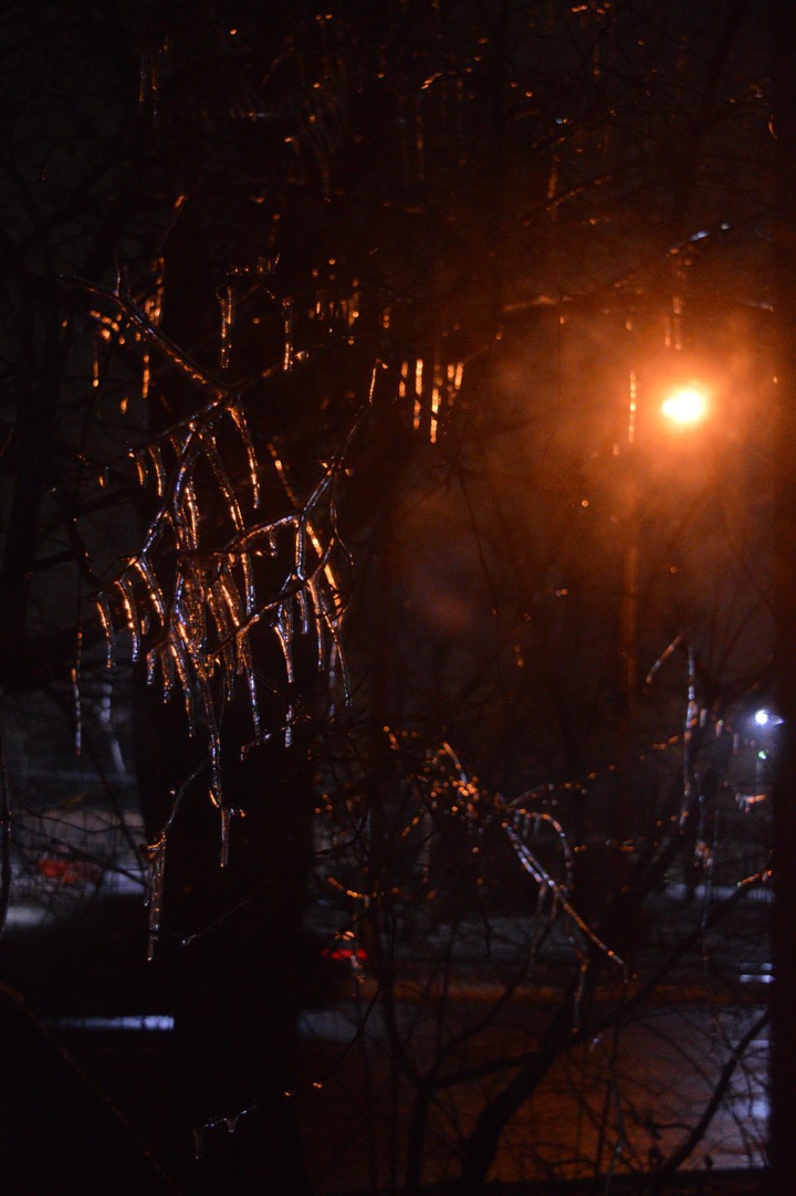 Dark Winter Night