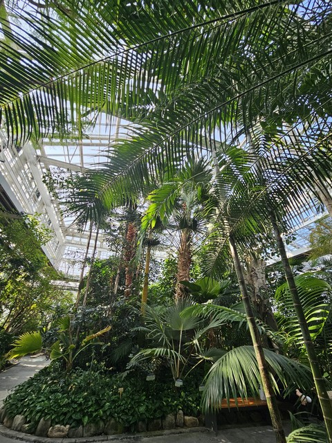 тапети vegetation, greenhouse