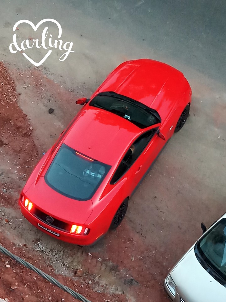 Mustang