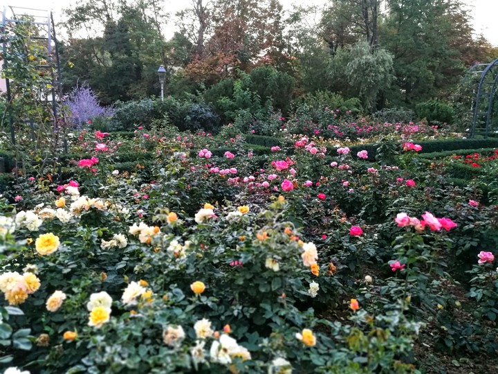 Rosengarten