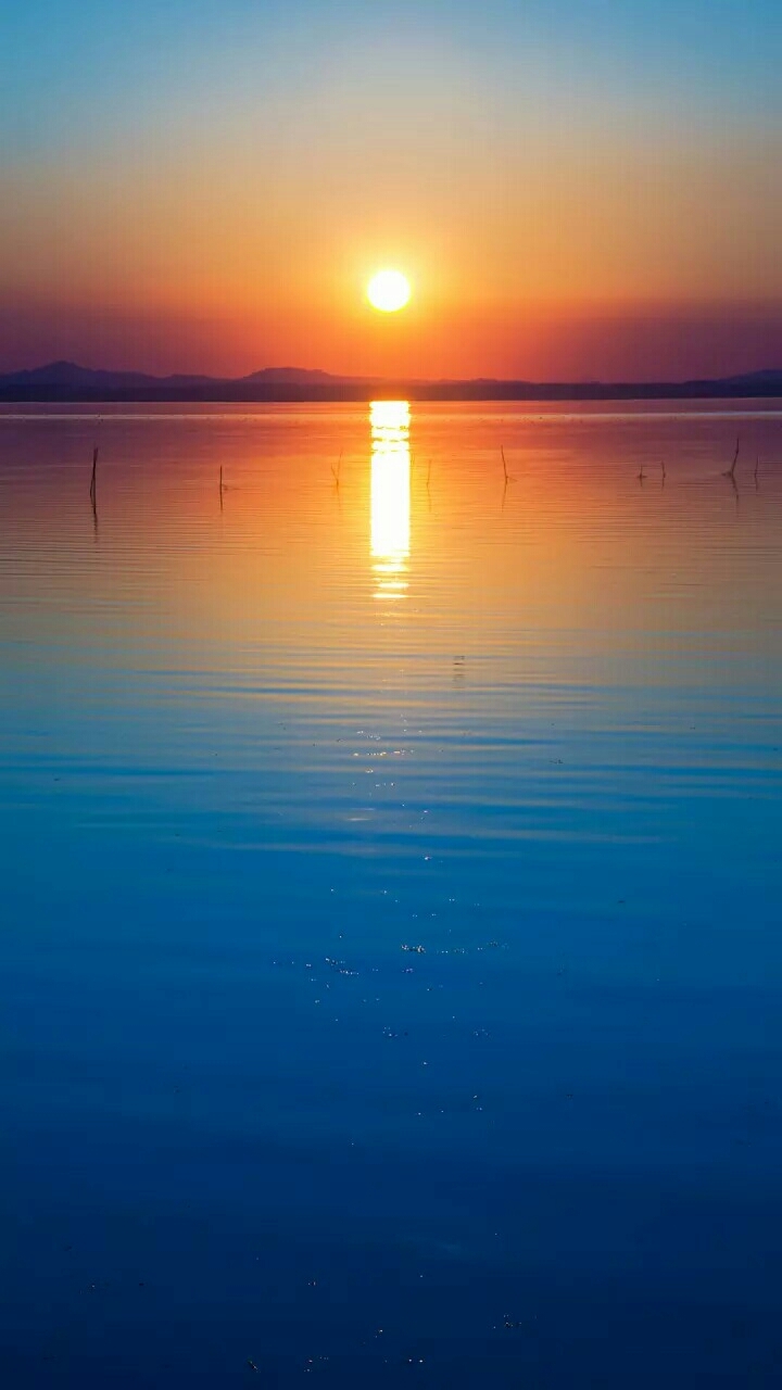 Nature's Beauty