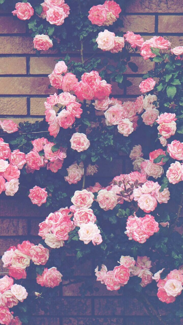Floweeeers