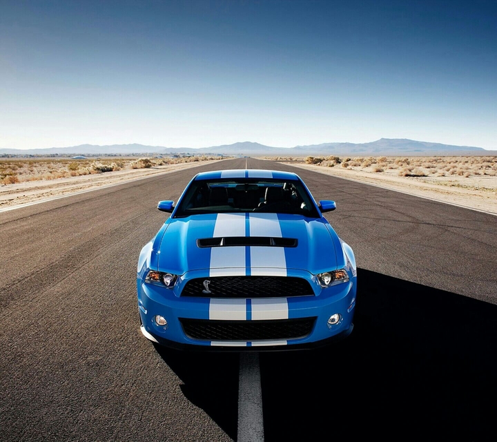 mustang shelby