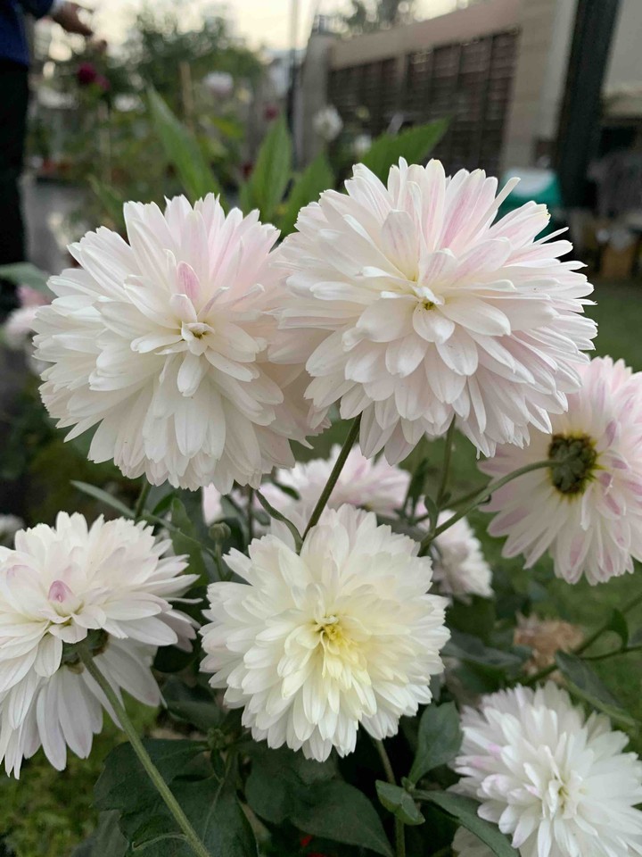 Welcome Spring