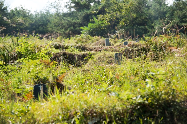 Cemetery