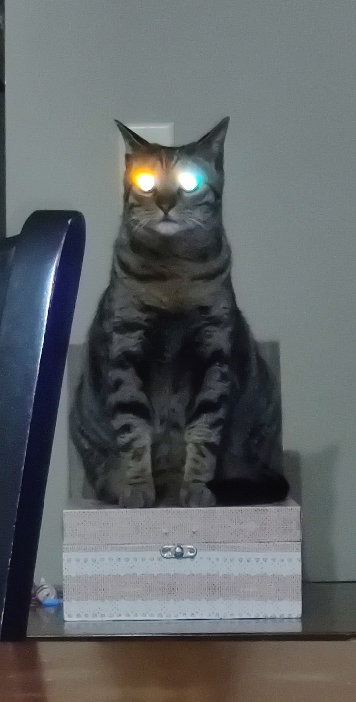 Cat Eyes + Phone Flashlight = Demon
