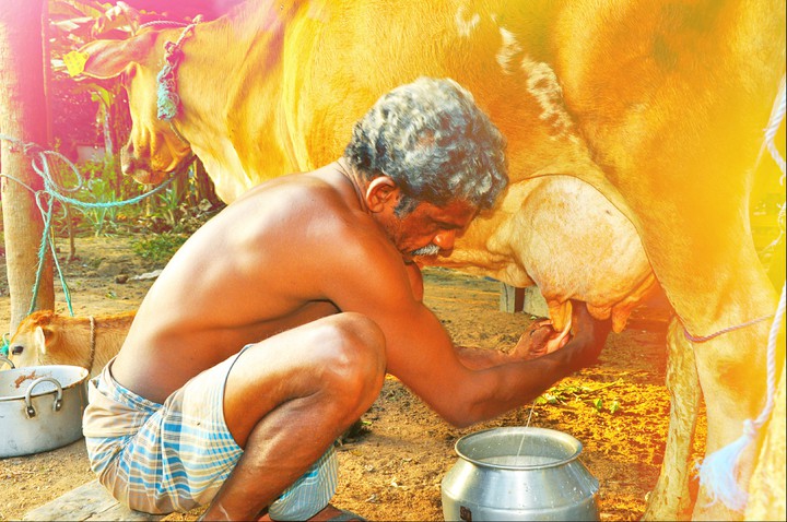 tamil