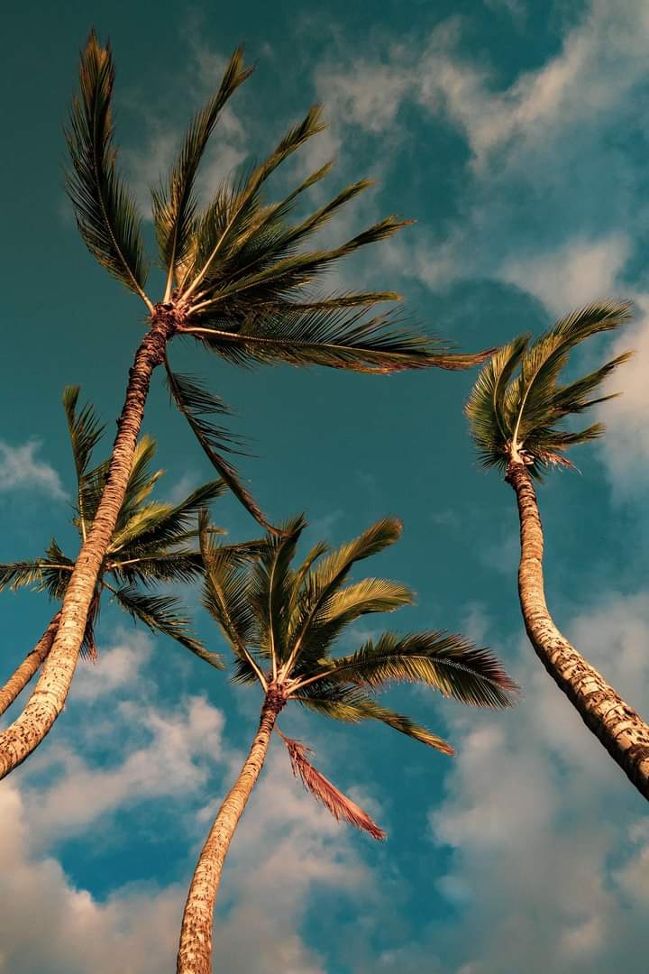 breeze