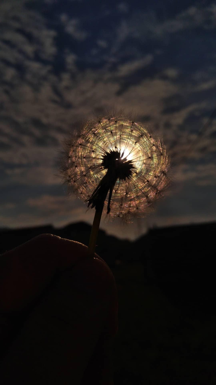 природа