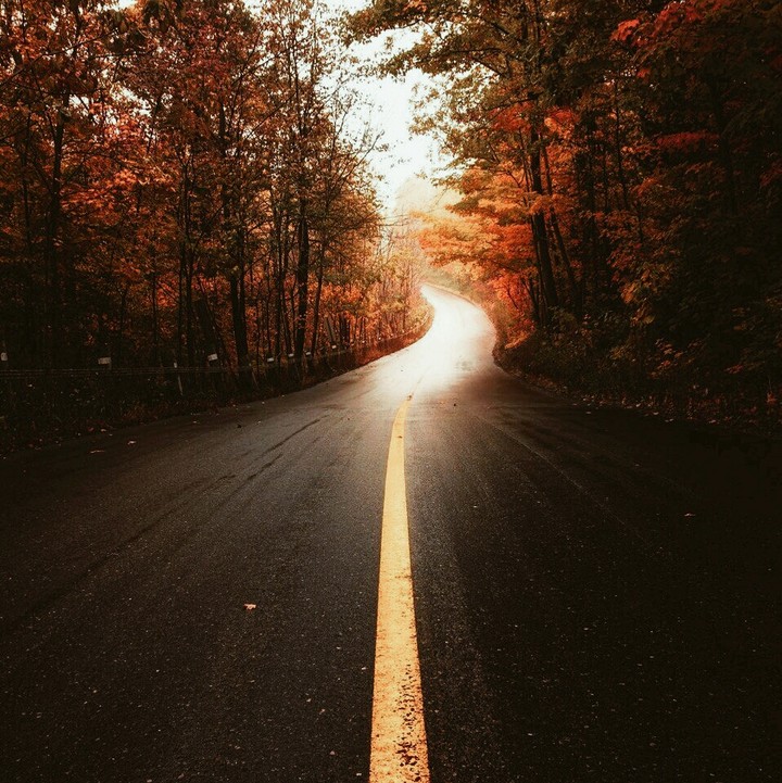 Autumn