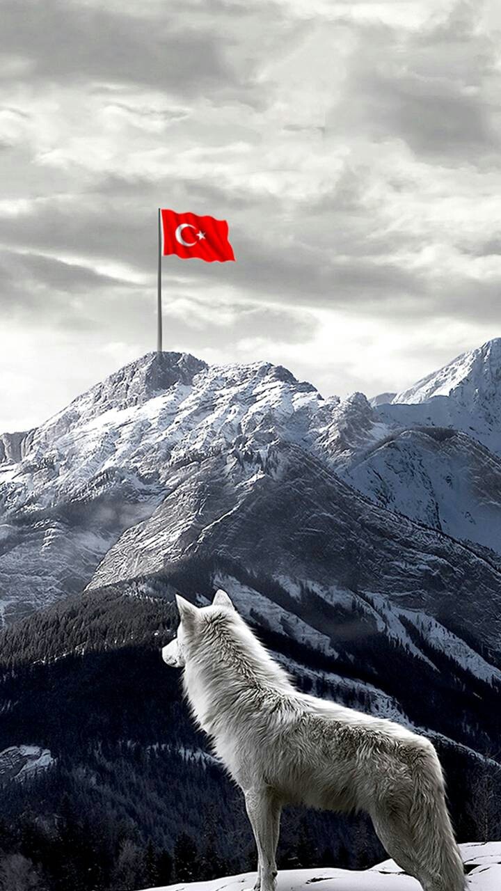 Türkiye