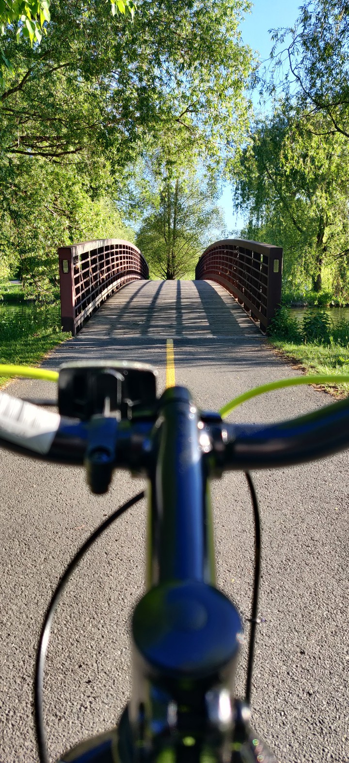 cycling into the wild