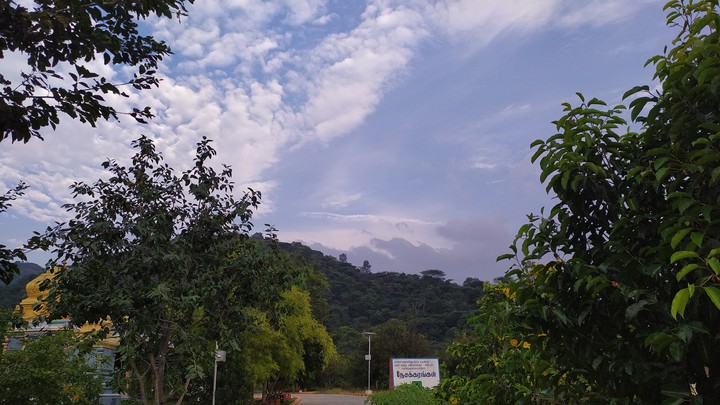 nature