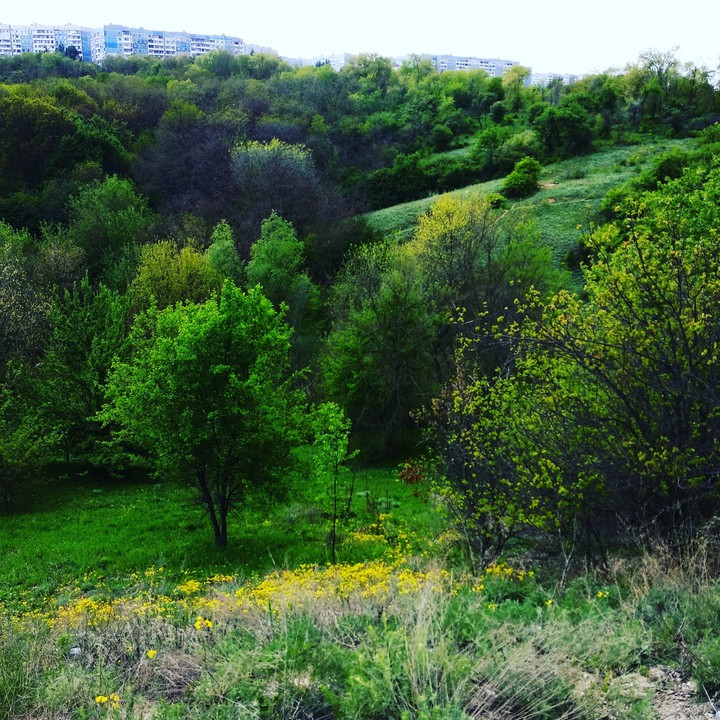 Украина. Запорожье. Бабурка ))