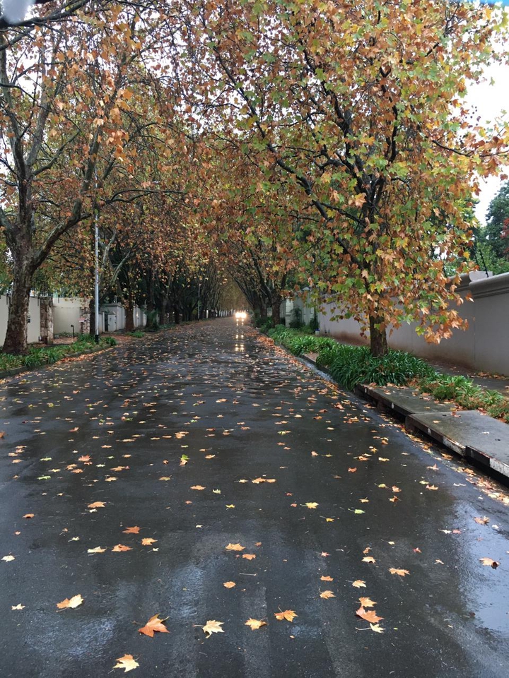 rainy day