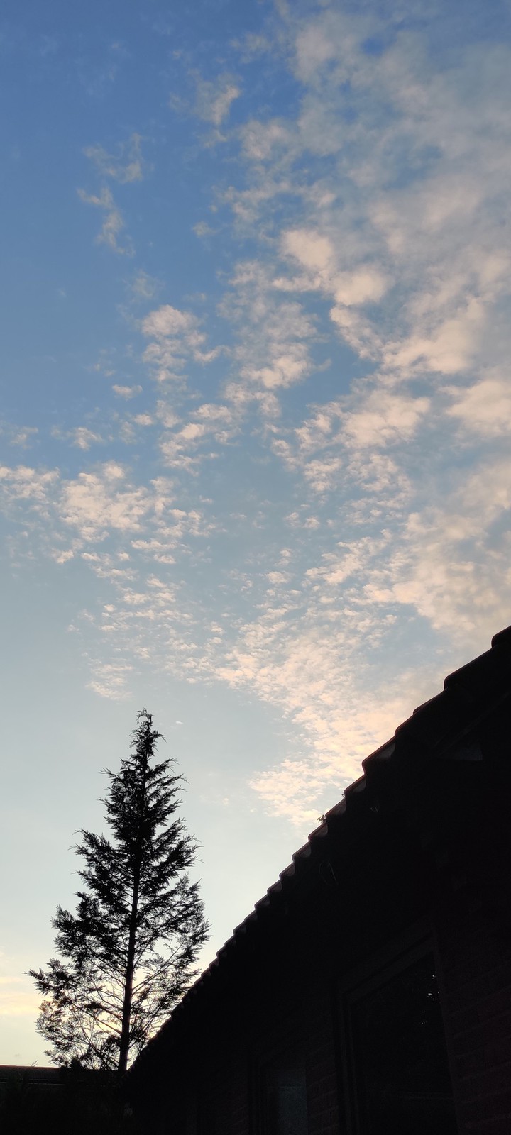 sky cloud evening