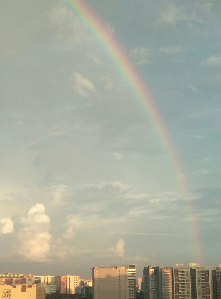 The rainbow!!!