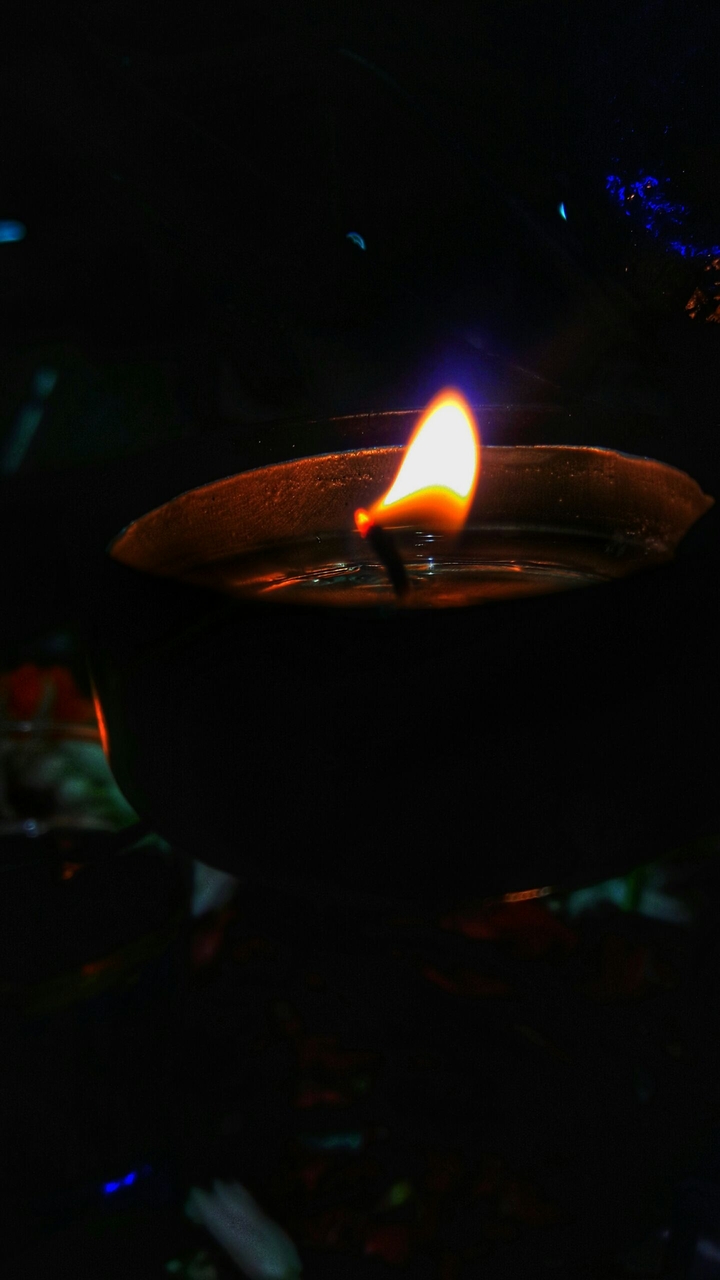 festive light