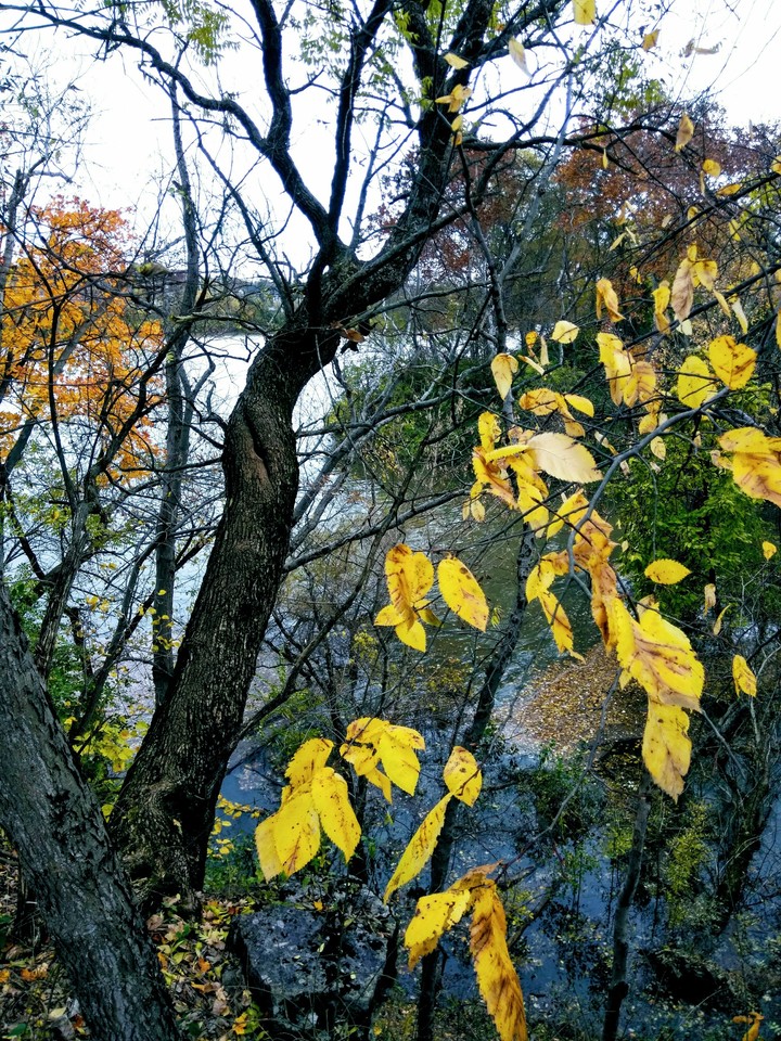 fall river