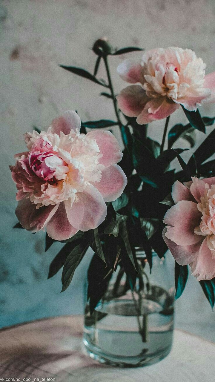 pion
