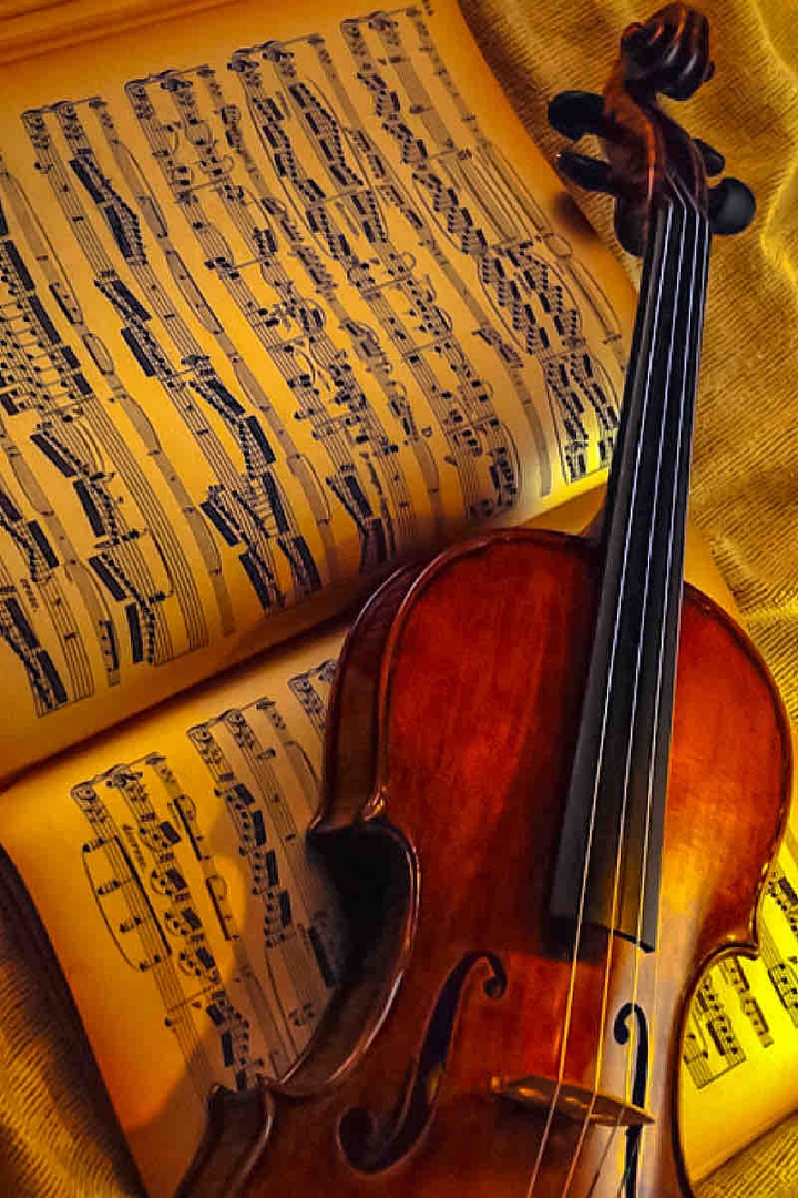 Violin of the heart