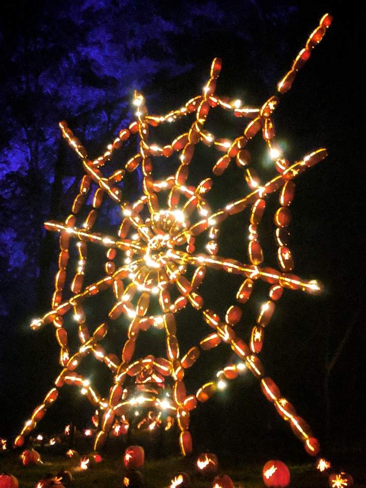 Jack-O-Lantern web