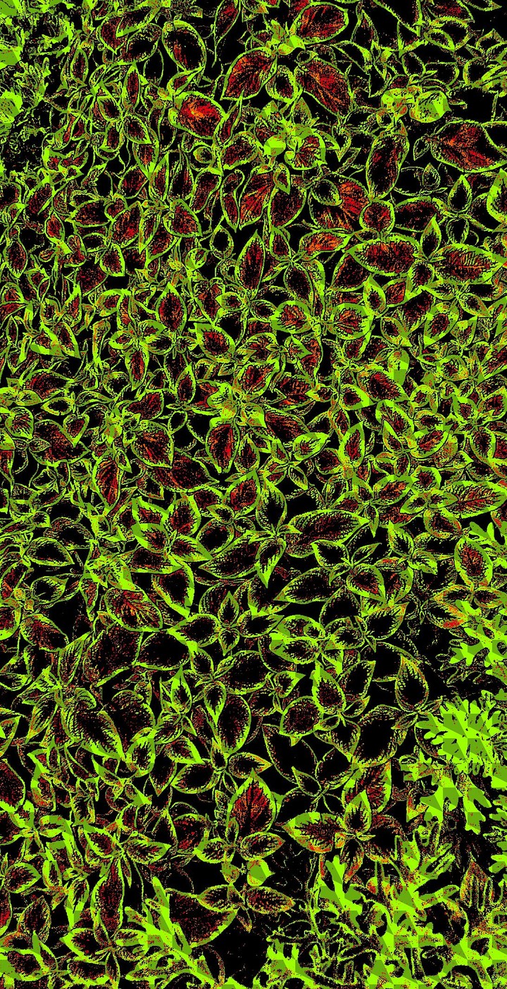 What