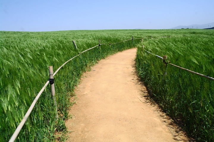 road
